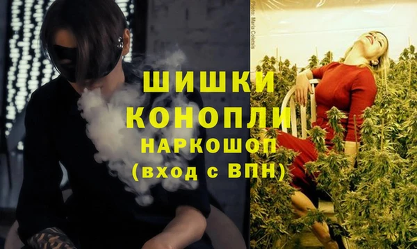сатива Баксан