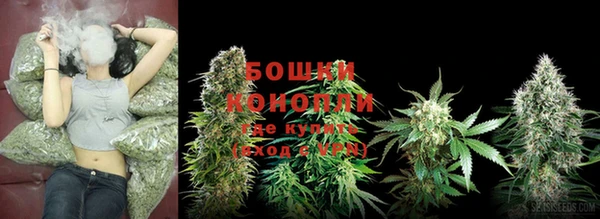 сатива Баксан