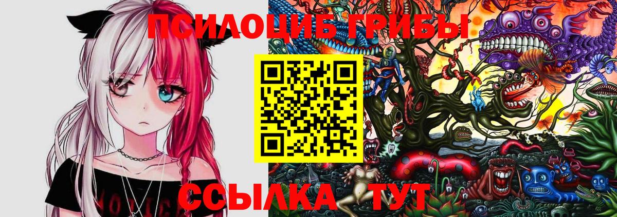 Галлюциногенные грибы Psilocybine cubensis Воскресенск