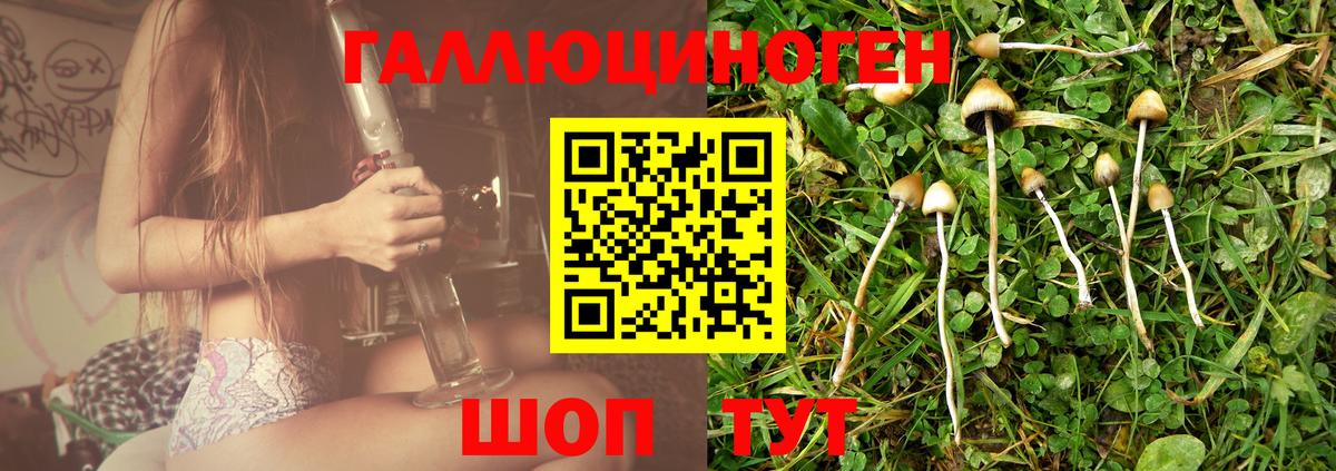 Воскресенск  Псилоцибиновые грибы ЛСД  Псилоцибиновые грибы Magic Shrooms  Вход с VPN 
