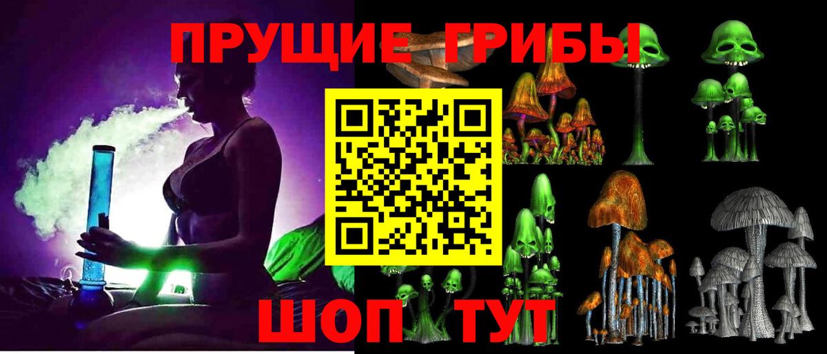 Псилоцибиновые грибы Cubensis Воскресенск